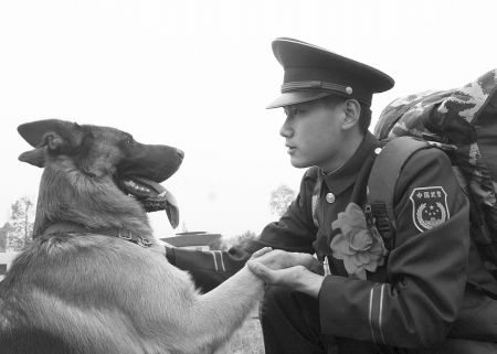 老兵要退役警犬3天不吃不喝(组图)